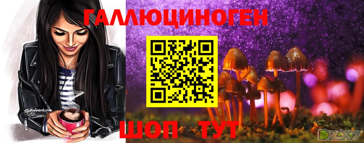 Псилоцибиновые грибы GOLDEN TEACHER Среднеуральск