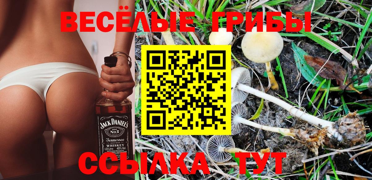 Галлюциногенные грибы Magic Shrooms  Галлюциногенные грибы Psilocybine cubensis  Среднеуральск  Вход с VPN 